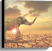 Canvas - Grote Olifant lopend over Gescheurde Aarde tijdens Zonsondergang - 40x40 cm Foto op Canvas Schilderij (Wanddecoratie op Canvas)