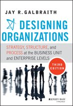 Designing Organizations 3E
