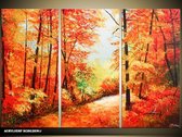 Peinture acrylique Nature | Rouge orange | 120x80cm 3Liège peint à la main