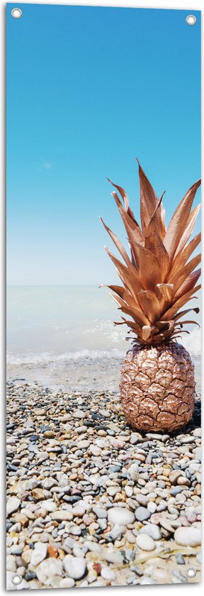 Tuinposter – Ananas op Kiezelstenen - 40x120 cm Foto op Tuinposter (wanddecoratie voor buiten en binnen)