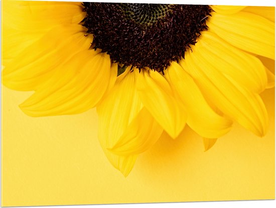 Acrylglas - Halve Gele Bloem tegen Gele Achtergrond - 100x75 cm Foto op Acrylglas (Met Ophangsysteem)