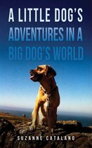 A Little Dog’s Adventures in a Big Dog’s World
