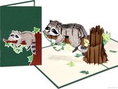 Popcards popupkaarten - Schattige Wasbeer op tak van een boom | pop-up kaart 3D wenskaart