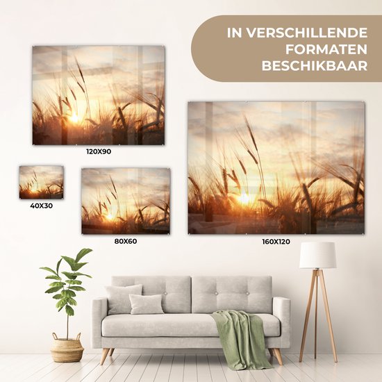 MuchoWow - Peinture sur verre - Photo sur verre - Roseau - Herbe - Soleil - Nature - 40x30 cm - Image sur verre - Décoration murale - Peinture nature - Verre acrylique