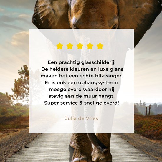 La tête d'un éléphant avec un avis de 'Julia de Vries' et quatre étoiles.