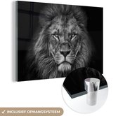 Glasschilderij leeuw - Zwart - Wit - Dieren - Foto op glas - Wanddecoratie glas - 150x100 cm - Woondecoratie - Schilderij glas - Muurdecoratie woonkamer - Glasplaat
