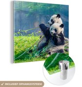 MuchoWow - Glasschilderij - Acrylglas - Panda - Bamboe - Natuur - Muurdecoratie - Schilderij glas - 90x90 cm - Wanddecoratie - Foto op glas