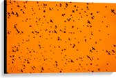 Canvas - Gele Lucht Vol met Trekkende Vogels - 90x60 cm Foto op Canvas Schilderij (Wanddecoratie op Canvas)