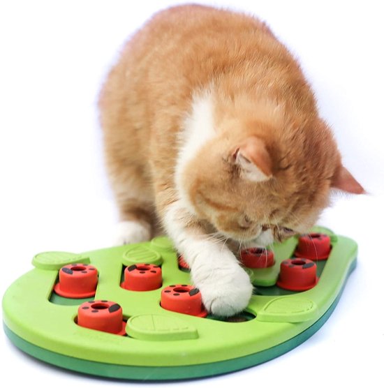 MAX Vandaag puzzel: maak de cyperse kat compleet - MAX Vandaag