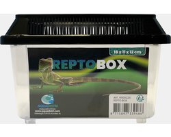 Repto Box 18x11x12 cm - Transportbox Reptielen