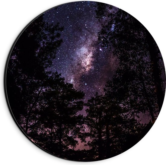 Dibond Muurcirkel - Heldere Galaxy Hemel tussen de Boomtoppen van het Bos - 20x20 cm Foto op Aluminium Muurcirkel (met ophangsysteem)