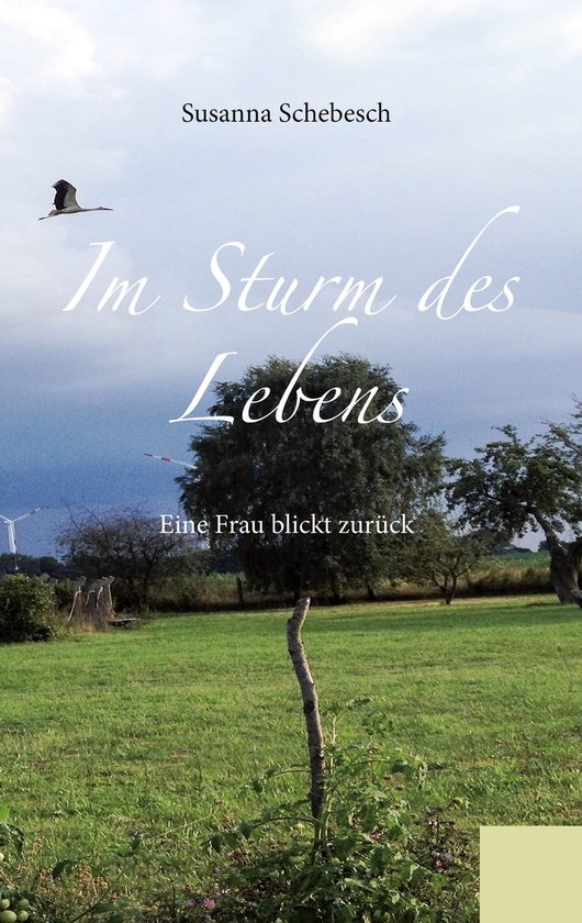 Im Sturm des Lebens (ebook), Susanna Schebesch 9783757896010 Boeken