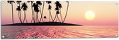 Tuinposter – Silhouet van Palmbomen op Onbewoond Eiland in de Oceaan bij Zonsondergang - 120x40 cm Foto op Tuinposter (wanddecoratie voor buiten en binnen)