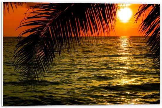 PVC Schuimplaat - Silhouet van Palmbladeren hangend boven de Zee tijdens Zonsondergang - 60x40 cm Foto op PVC Schuimplaat (Met Ophangsysteem)