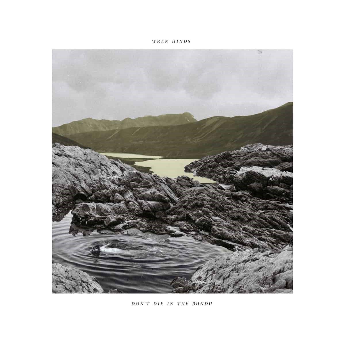 Wren Hinds - Don't Die In The Bundu (LP)