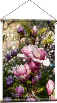 Textielposter - Roze Magnolia Bloemen aan Struik in het Veld - 60x90 cm Foto op Textiel