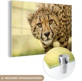 MuchoWow® Glasschilderij 30x20 cm - Schilderij acrylglas - Luipaard - Cheeta - Dier - Foto op glas - Schilderijen