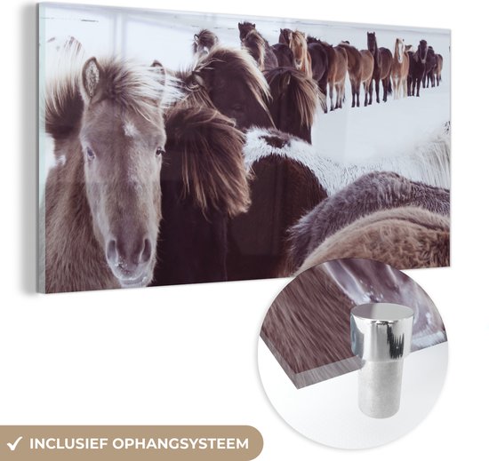 MuchoWow® Glasschilderij - Paarden - Sneeuw - IJslander - Acrylglas Schilderijen - Foto op Glas