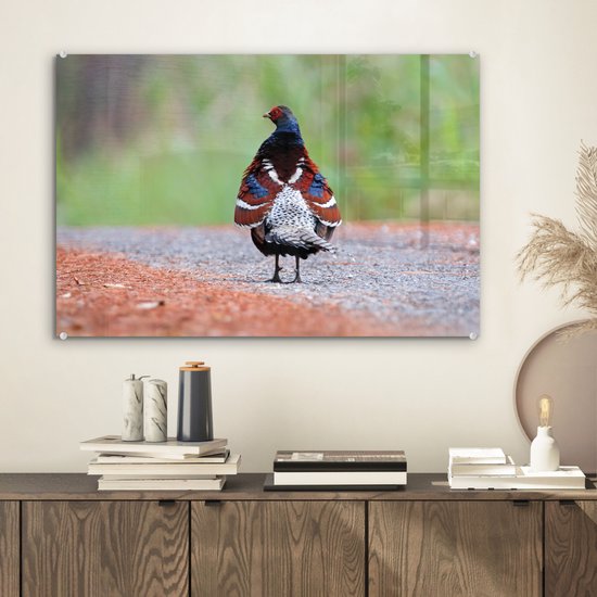 MuchoWow® Peinture sur verre 60x40 cm - Peinture sur verre acrylique - Vogel - Faisan - Ressorts - Photo sur verre - Peintures