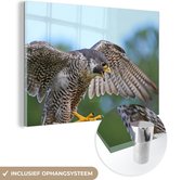 MuchoWow® Glasschilderij 90x60 cm - Schilderij acrylglas - Valk - Vleugels - Roofvogels - Foto op glas - Schilderijen