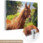 MuchoWow® Peinture sur verre 180x120 cm - Peinture sur verre - Cheval - Lumière - Portrait - Photo sur verre acrylique - Peintures