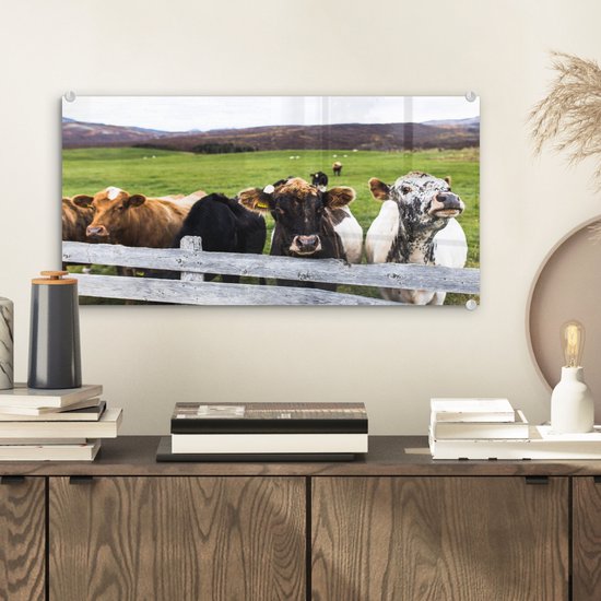 MuchoWow® Glasschilderij 40x20 cm - Schilderij acrylglas - Dieren - Koe - Hek - Foto op glas - Schilderijen