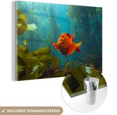 MuchoWow® Glasschilderij 120x80 cm - Schilderij acrylglas - Kelp - Vis - Water - Foto op glas - Schilderijen