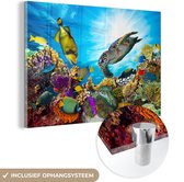 MuchoWow® Glasschilderij 120x80 cm - Schilderij acrylglas - Schildpad - Zee - Koraal - Foto op glas - Schilderijen