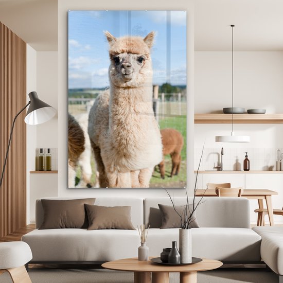 MuchoWow® Peinture sur verre 120x180 cm - Peinture sur verre - Alpaga - Herbe - Fourrure - Photo sur verre acrylique - Peintures
