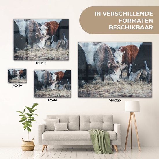 MuchoWow® Peinture sur Verre - Animaux - Vache - Ferme - 120x90 cm - Peintures sur Verre Acrylique - Photo sur Glas