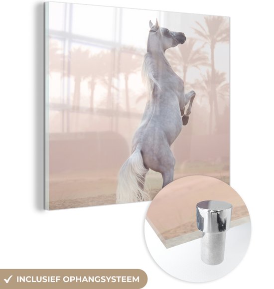 MuchoWow® Glasschilderij 50x50 cm - Schilderij acrylglas - Paard - Zand - Palmboom - Foto op glas - Schilderijen