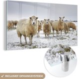 MuchoWow® Glasschilderij 40x20 cm - Schilderij acrylglas - Schapen - Wol - Sneeuw - Foto op glas - Schilderijen