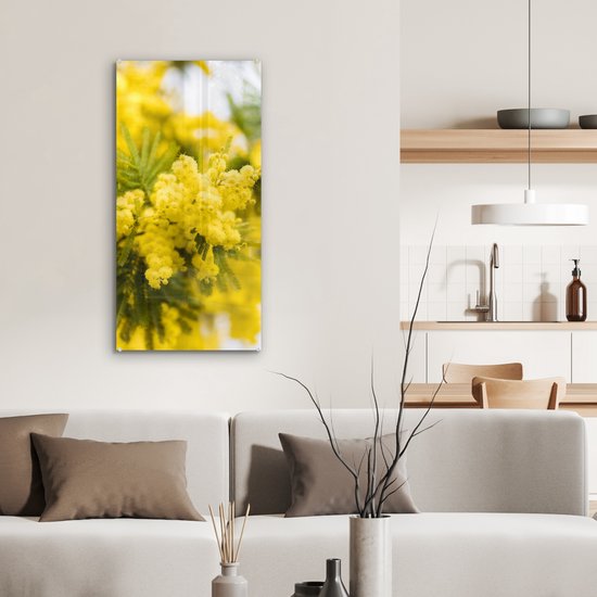 MuchoWow® Peinture sur Verre - Une Fleur de mimosa Jaune - 40x80 cm - Peintures sur Verre Acrylique - Photo sur Glas