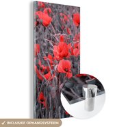 MuchoWow® Glasschilderij 20x40 cm - Schilderij acrylglas - Rode Klaprozen in een zwart wit afbeelding - Foto op glas - Schilderijen