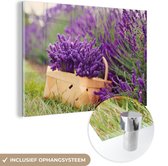 Lavande fraîche dans un panier Plexiglas 30x20 cm - petit - Tirage photo sur Glas (décoration murale en plexiglas)