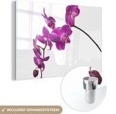 MuchoWow® Glasschilderij 90x60 cm - Schilderij acrylglas - Orchidee tegen witte achtergrond - Foto op glas - Schilderijen
