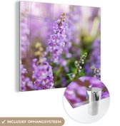 MuchoWow® Glasschilderij 90x90 cm - Schilderij acrylglas - Close up van hele lavendel in een veld - Foto op glas - Schilderijen