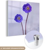 MuchoWow® Glasschilderij 90x90 cm - Schilderij acrylglas - Bloemen - Sneeuw - Paars - Foto op glas - Schilderijen