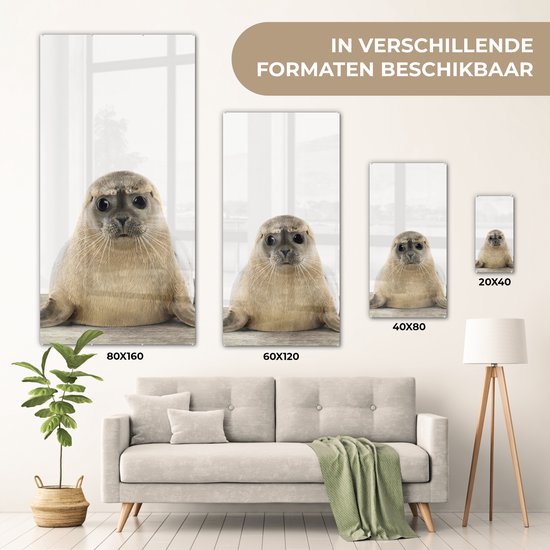 MuchoWow® Peinture sur Verre - Phoque - Animaux - Enfant - Garçons - Filles - Enfants - 60x120 cm - Peintures sur Verre Peintures - Photo sur Glas
