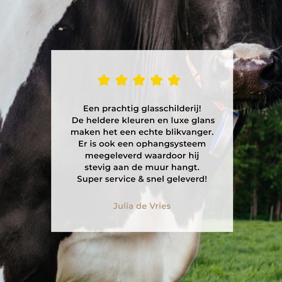 MuchoWow® Peinture sur verre 80x160 cm - Peinture sur verre acrylique - Vache - Zwart - Wit - Nederland - Photo sur verre - Peintures