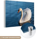 Glasschilderij - Foto op glas - Acrylglas - Zwaan - Vogel - Water - Landschap - 120x80 cm - Schilderij glas - Glasschilderij vogels - Glasschilderij dieren - Kamer decoratie