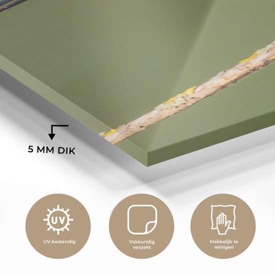 Peinture sur verre - Photo sur verre - Vogel - Martin-pêcheur - Branche - Feuilles - 60x90 cm - Verre acrylique - Décoration murale murale - Peinture sur verre oiseaux - Peinture sur verre - Peinture sur verre animaux - Peintures de salon