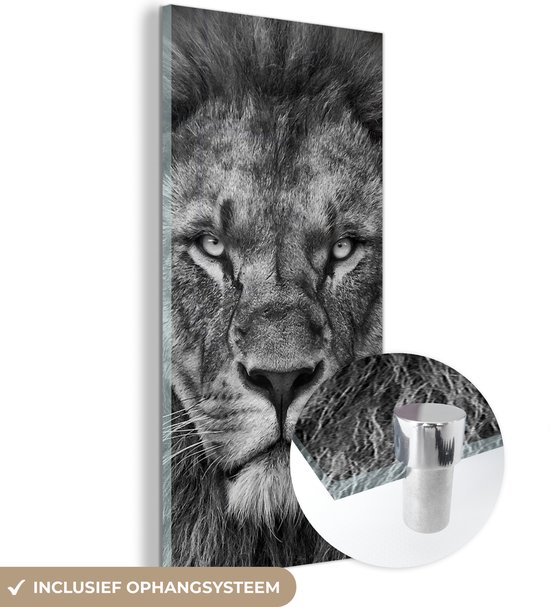 Peinture sur verre - Photo sur verre - Verre acrylique - Animaux sauvages - Lion - Zwart - Wit - 60x120 cm - Peinture sur verre lion - Peinture sur verre - Décoration chambre - Chambre