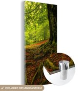 MuchoWow® Glasschilderij 80x160 cm - Schilderij acrylglas - Boom - Bos - Herfstbladeren - Foto op glas - Schilderijen