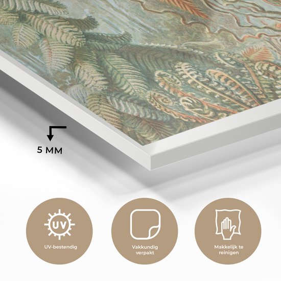 MuchoWow® Peinture sur Verre - Vintage - Maîtres Anciens - Fougères - Plantes - Nature - 120x60 cm - Peintures sur Verre Acrylique - Photo sur Glas