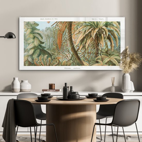MuchoWow® Peinture sur Verre - Vintage - Maîtres Anciens - Fougères - Plantes - Nature - 120x60 cm - Peintures sur Verre Acrylique - Photo sur Glas