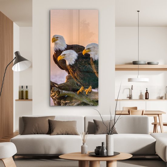 Peinture sur verre - Photo sur verre - Vogels - Animaux - Aigle - Rapace - Branches - Verre acrylique - 80x160 cm - Peinture sur verre oiseaux - Peinture sur verre - Décoration murale verre - Peinture sur verre animaux