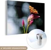 MuchoWow® Glasschilderij 60x40 cm - Schilderij acrylglas - Vlinder - Bloemen - Insecten - Foto op glas - Schilderijen
