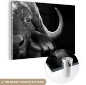 MuchoWow - Peinture sur verre - Photo sur verre - Verre acrylique - Animaux sauvages - Buffalo - Zwart - Wit - Décoration murale - 90x60 cm - Décoration murale - Salon - Décoration de chambre