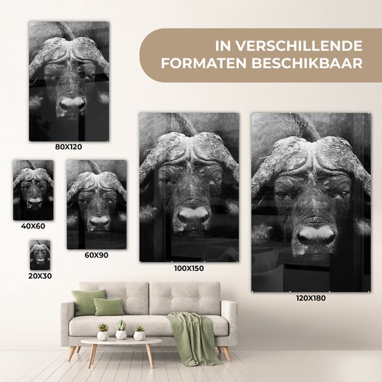 Peinture sur verre - Photo sur verre - Verre acrylique - Animaux - Buffalo - Zwart - Wit - Décoration murale animaux - 60x90 cm - Salon - Décoration de chambre - Décoration murale